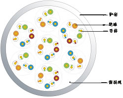 UTP 五類(lèi)25對(duì)非屏蔽數(shù)據(jù)線纜