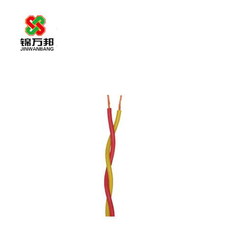 16860137403071.jpg 雙絞線.jpg